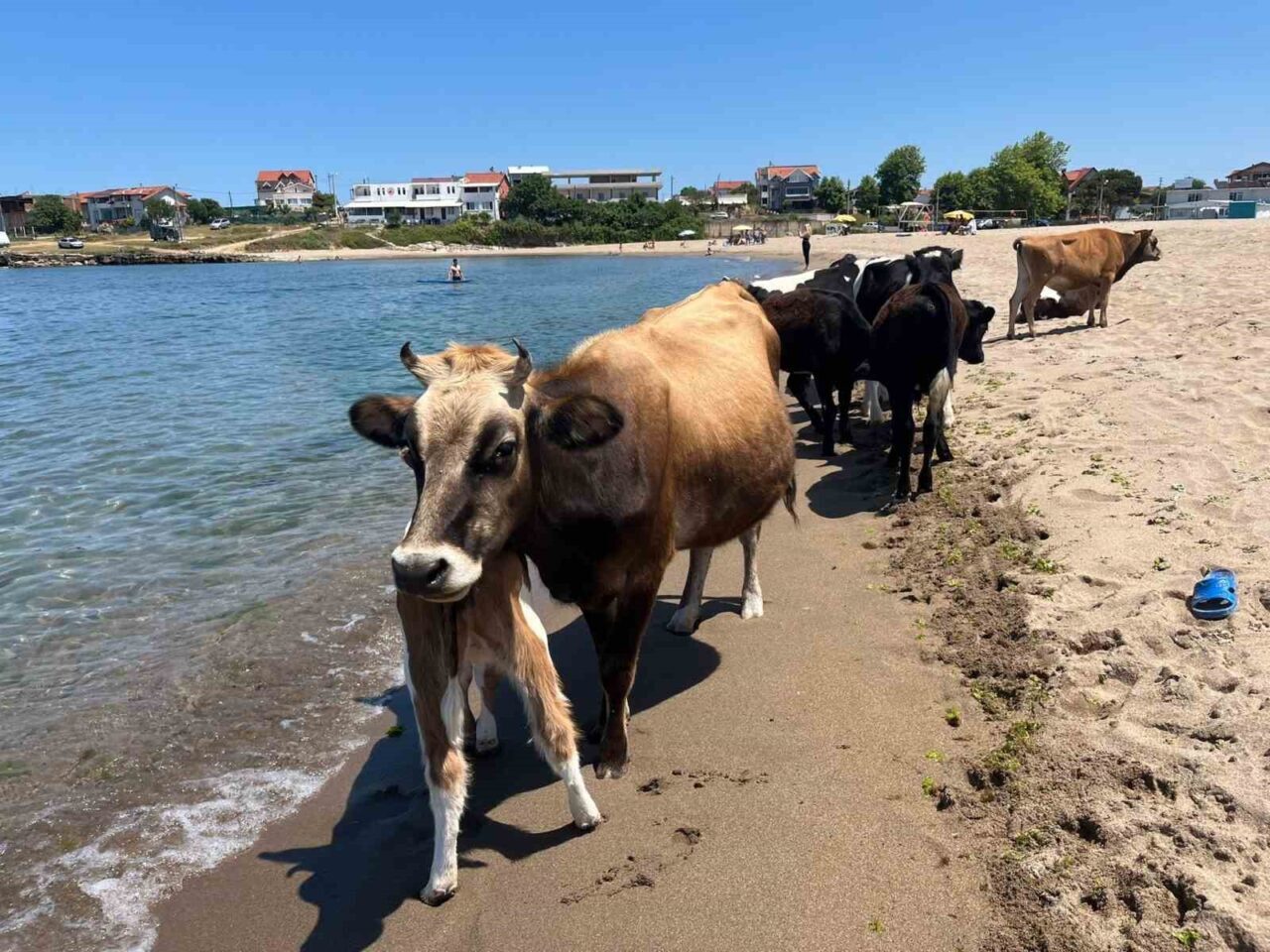 Kocaeli’nin Kandıra ilçesinde hava sıcaklığı 35 dereceyi aştı. Babalı Sahili'nde